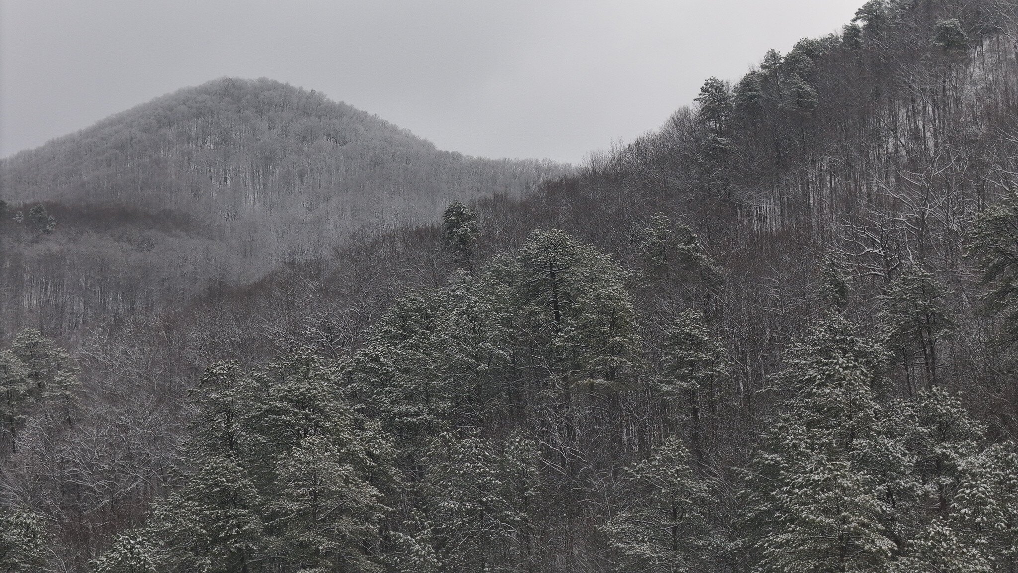 DJI_20250111101557_0022_D_SNOW-2
